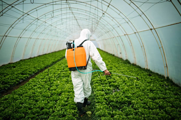 Best Bed Bug Extermination  in Farmers Loop, AK