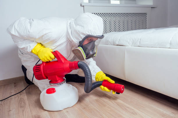 Best Pest Control Near Me in Farmers Loop, AK