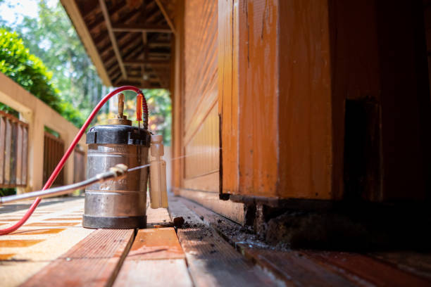 Best Mosquito Control Services  in Farmers Loop, AK