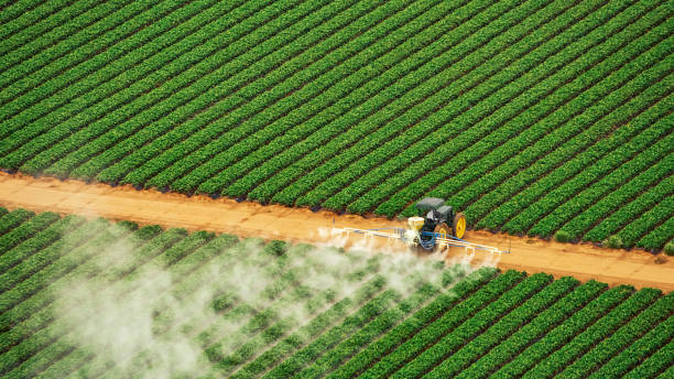 Best Wasp Removal Services  in Farmers Loop, AK