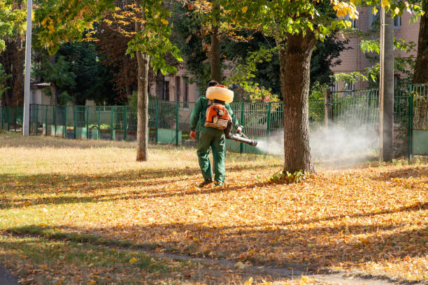 Best Local Pest Control Services  in Farmers Loop, AK