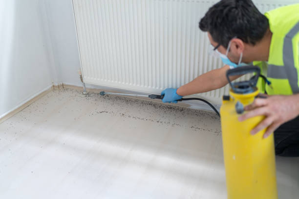 Flea Control Services in Farmers Loop, AK