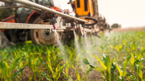 Best Mosquito Control Services  in Farmers Loop, AK
