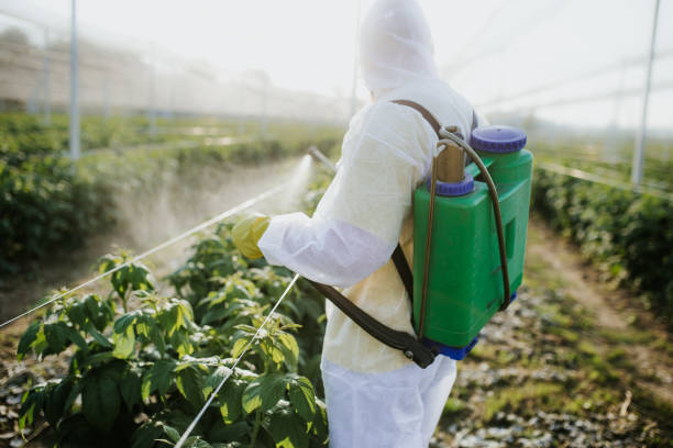 Trusted Farmers Loop, AK Pest Control Experts